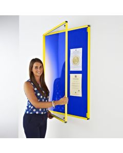 Coloured Frame Tamperproof Noticeboards